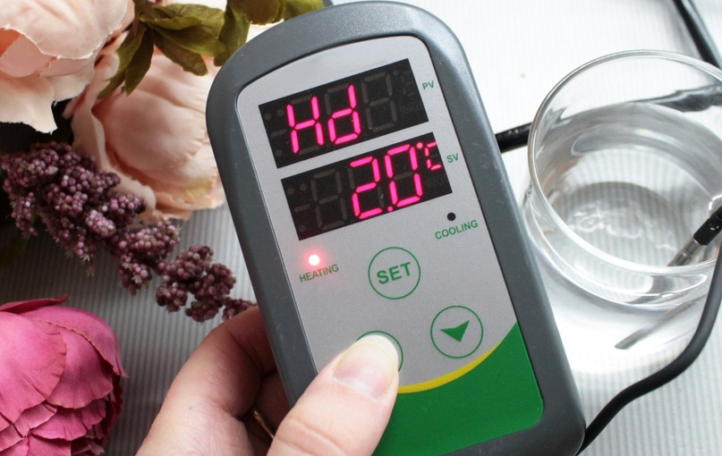 6 Best Aquarium Heater Controllers to Make Your Life Easier (2023)