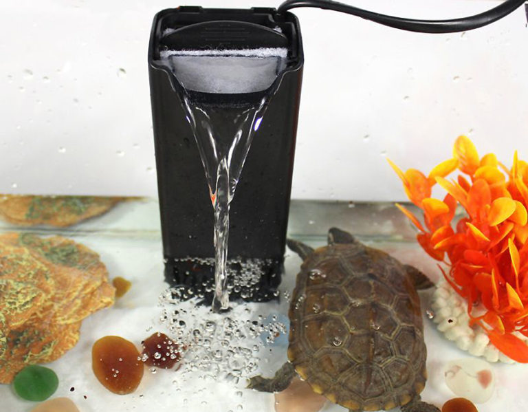 6 Best Canister Filters for Turtles Reviewed in Detail (Summer 2024)