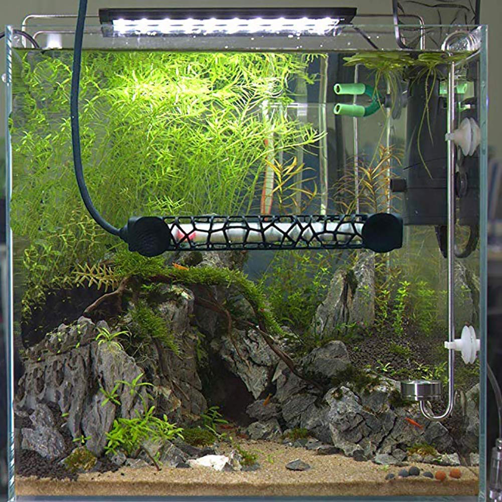 How to Determine an Optimal Aquarium Heater Size