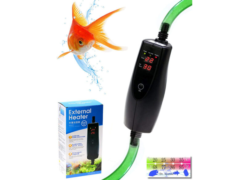 Aquarium Heater Placement A Comprehensive Heater Guide [Upd. 2021]