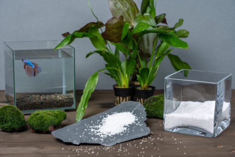 How to Clean Fish Tank Gravel Without a Vacuum 2 Most Effective Ways