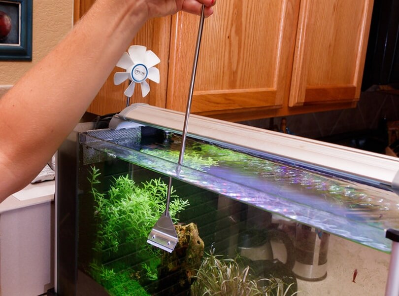 How to Remove Hard Water Stains from a Fish Tank