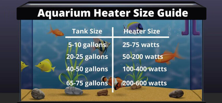 Curated visual reference: Picture Idea: Aquarium Heater Size A Comprehensive Heater Guide Upd 2021