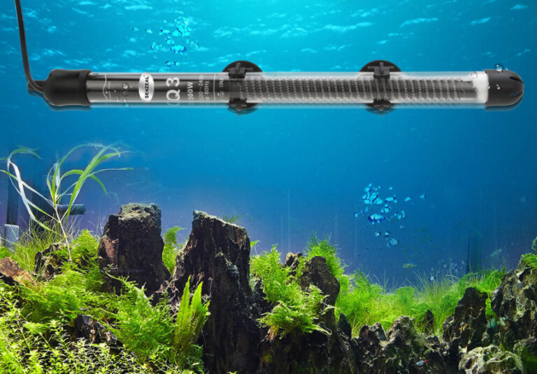 How Do I Know if My Aquarium Heater is Working? Here's the Answer