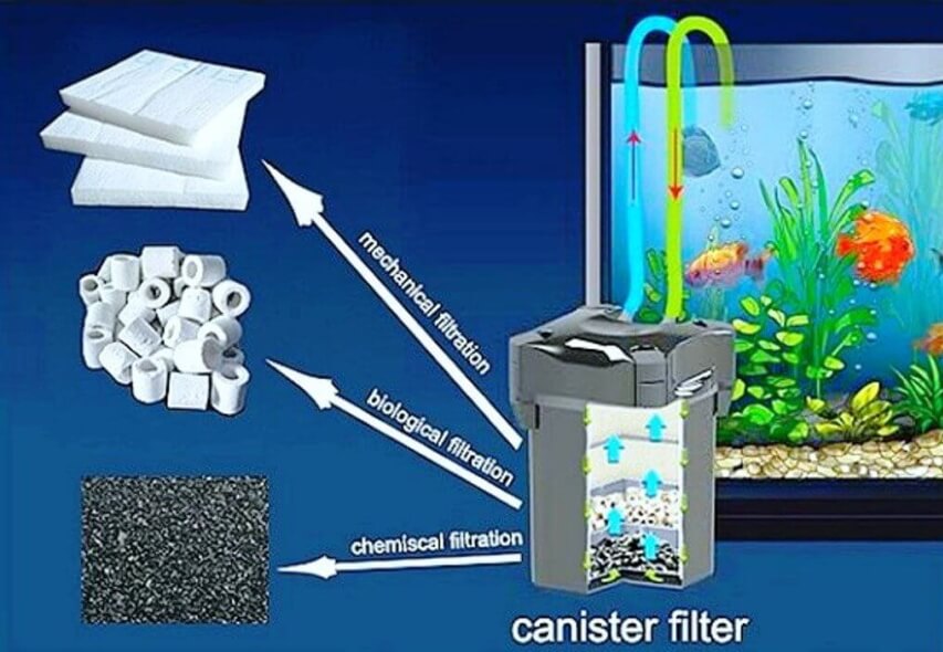 10 Most Effective Filter Media for Your Aquarium to Have the Cleanest Water