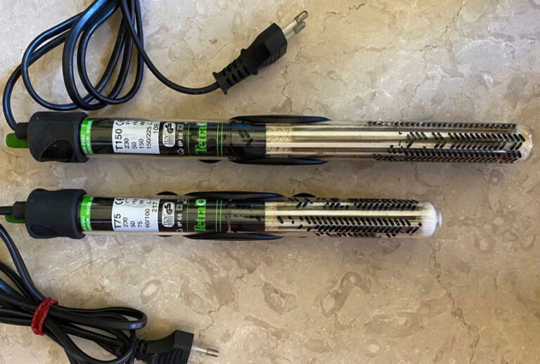 10 Best 10Gallon Fish Tank Heaters Reviewed in Detail (Fall 2024)