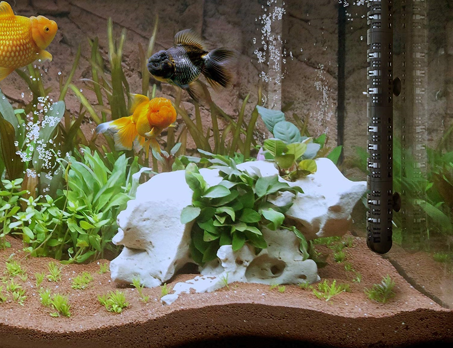 DIY Aquarium Heater Everything You Need to Know