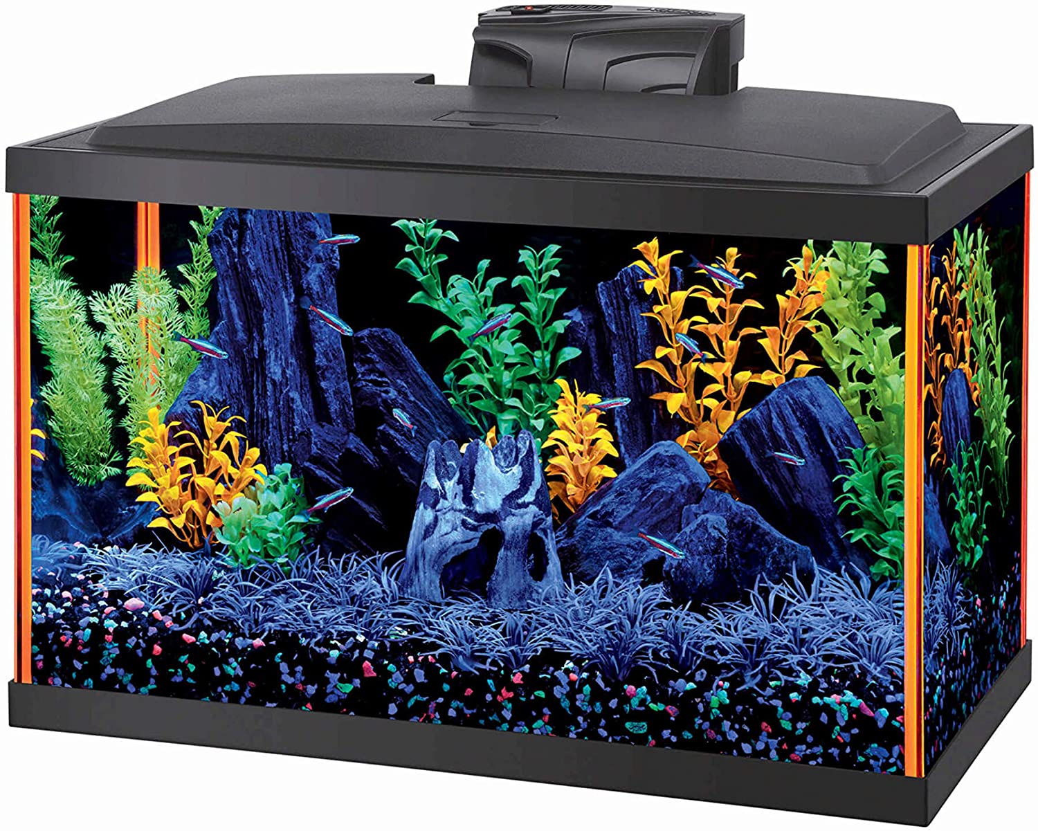 Aqueon Fish NeoGlow LED Aquarium