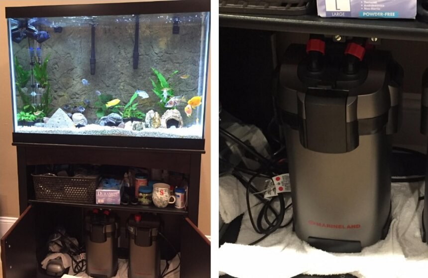 5 Best Nano Canister Filters - Keep Your Fish Tank Clean and Healthy