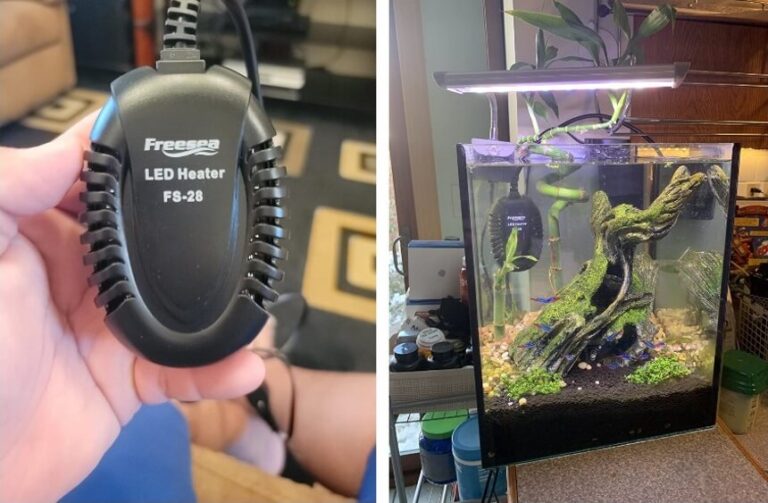 5 Best Heaters for 20 Gallon Tanks (Spring 2026) - Heater For Small 20 Gallon Community Tank