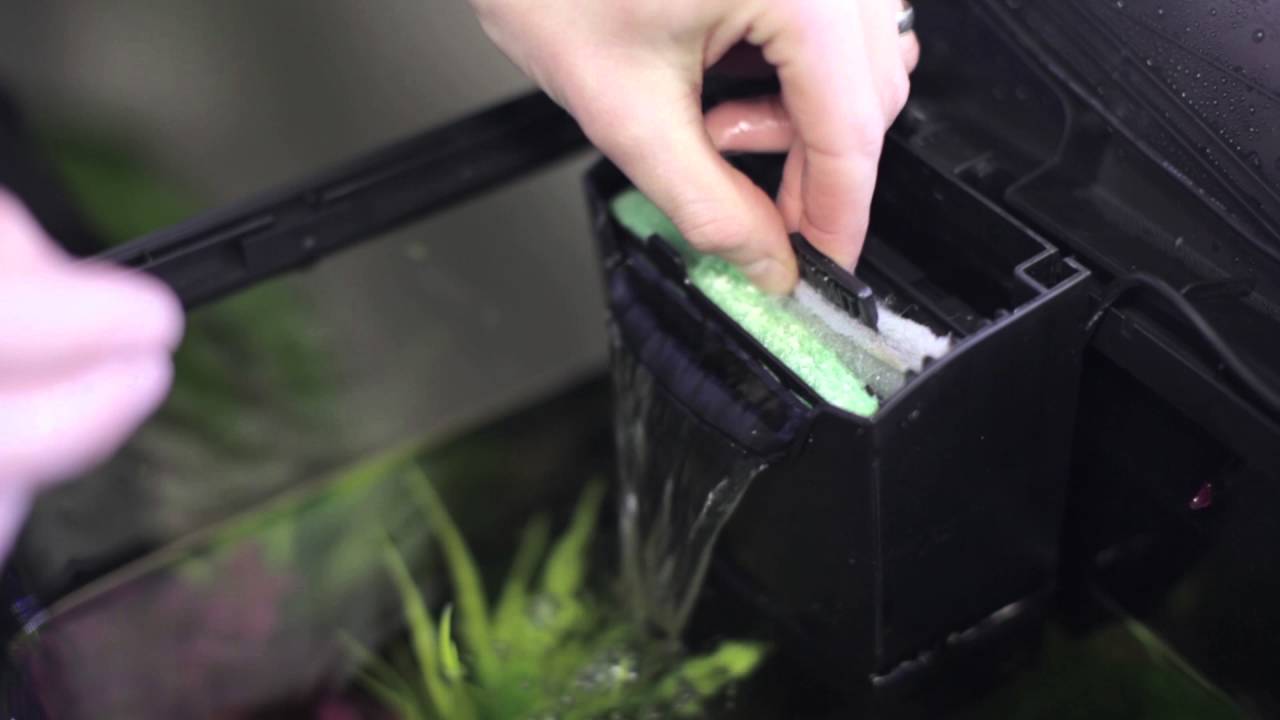 Fish Tank Filter Is Not Working: Why That Happens and What to Do