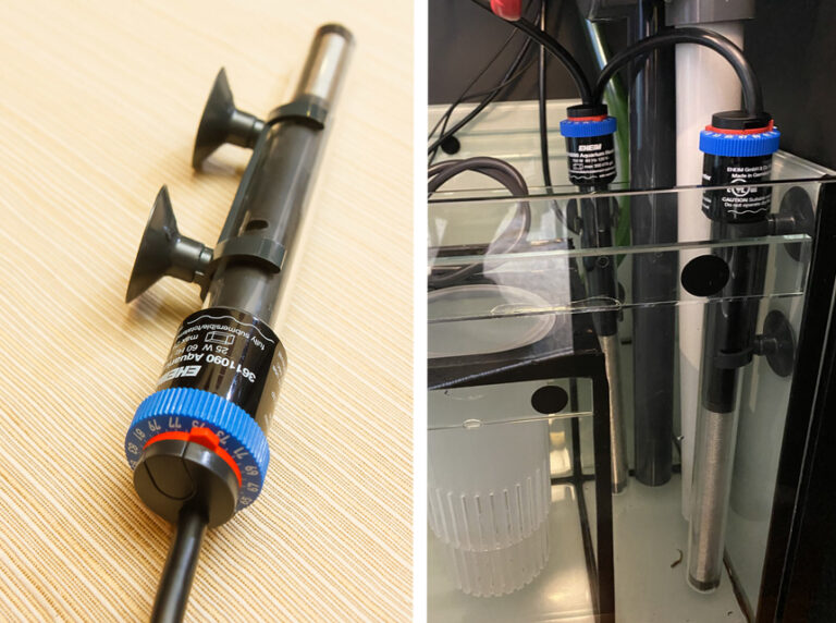 5 Best 300Watt Aquarium Heaters Reviewed in Detail (Winter 2024)