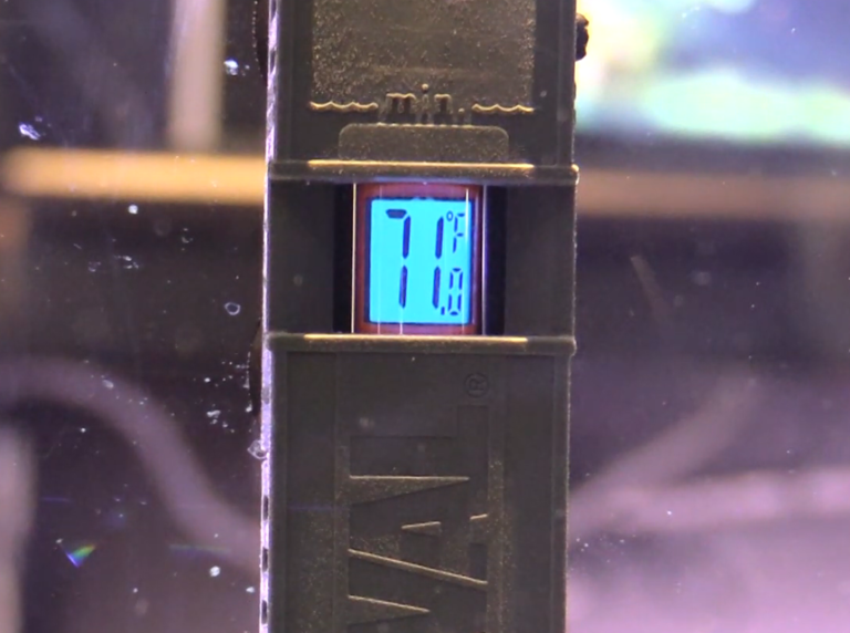 Fluval E Series Heater Review (Fall 2023) Features, Pros and Cons