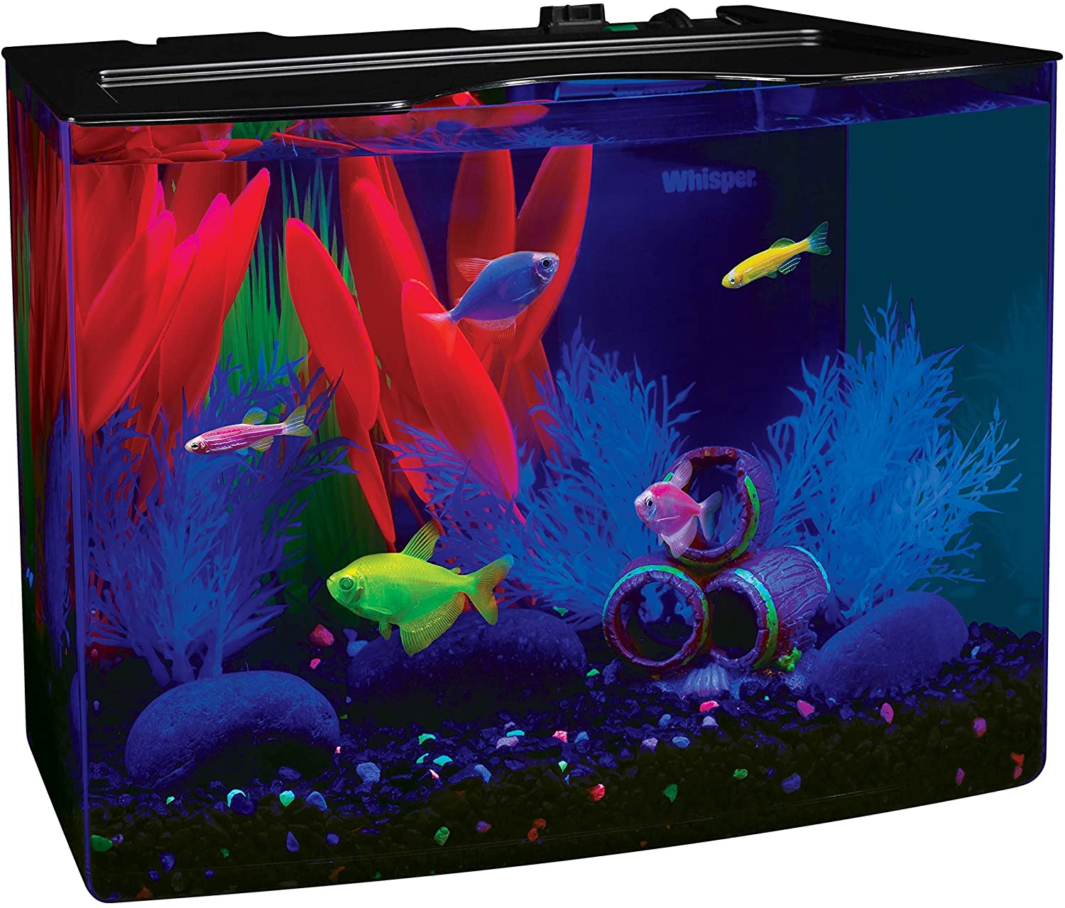 GloFish Aquarium Kit Fish Tank 5-gallon