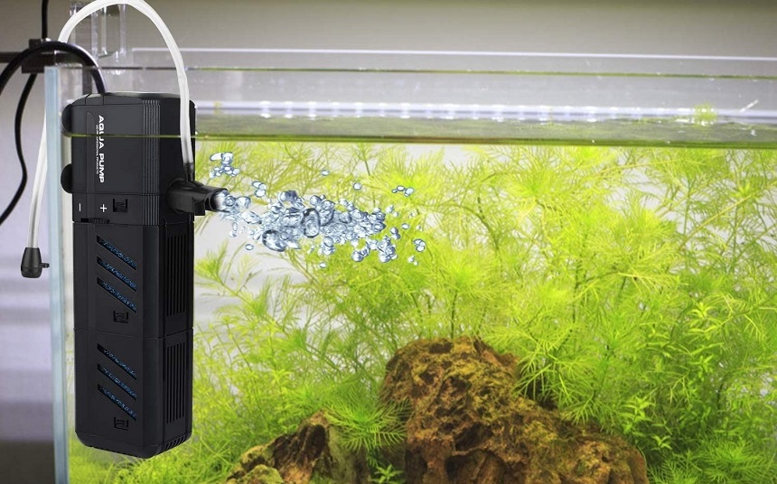 7 Best Internal Aquarium Filters - Safe and Efficient