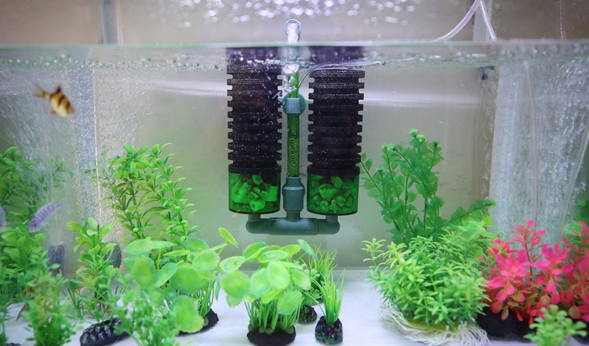 7 Best Filters for Betta Tanks – Keep Your Betta Healthy and Happy (2023)
