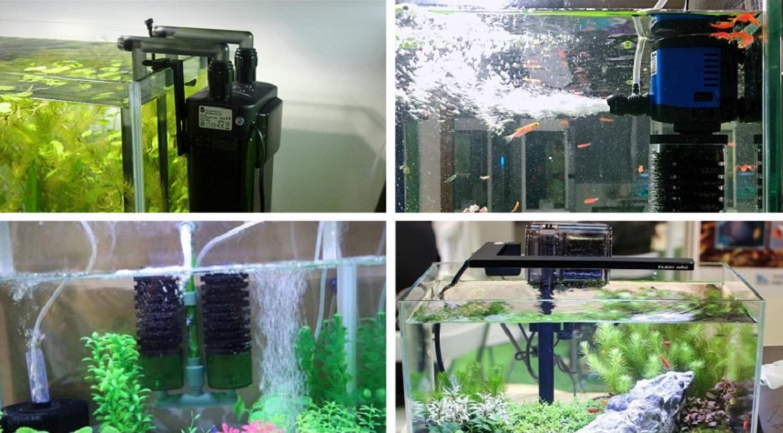 9 Best Filters for 10-Gallon Tank – Reliable Way to Keep Your Tank Clean for Longer