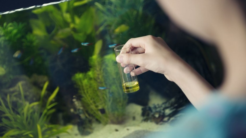 6 Best Aquarium Water Conditioners – Keep Your Fish’s Environment Clean and Healthy