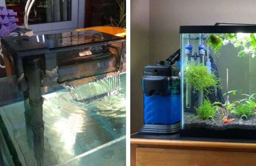 5 Best Filters for 20-Gallon Tanks: Select the Right One for Your Needs (Summer 2022)