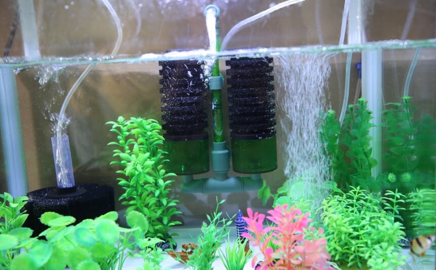 7 Best Sponge Filters for a Clean and Healthy Aquarium (2023)