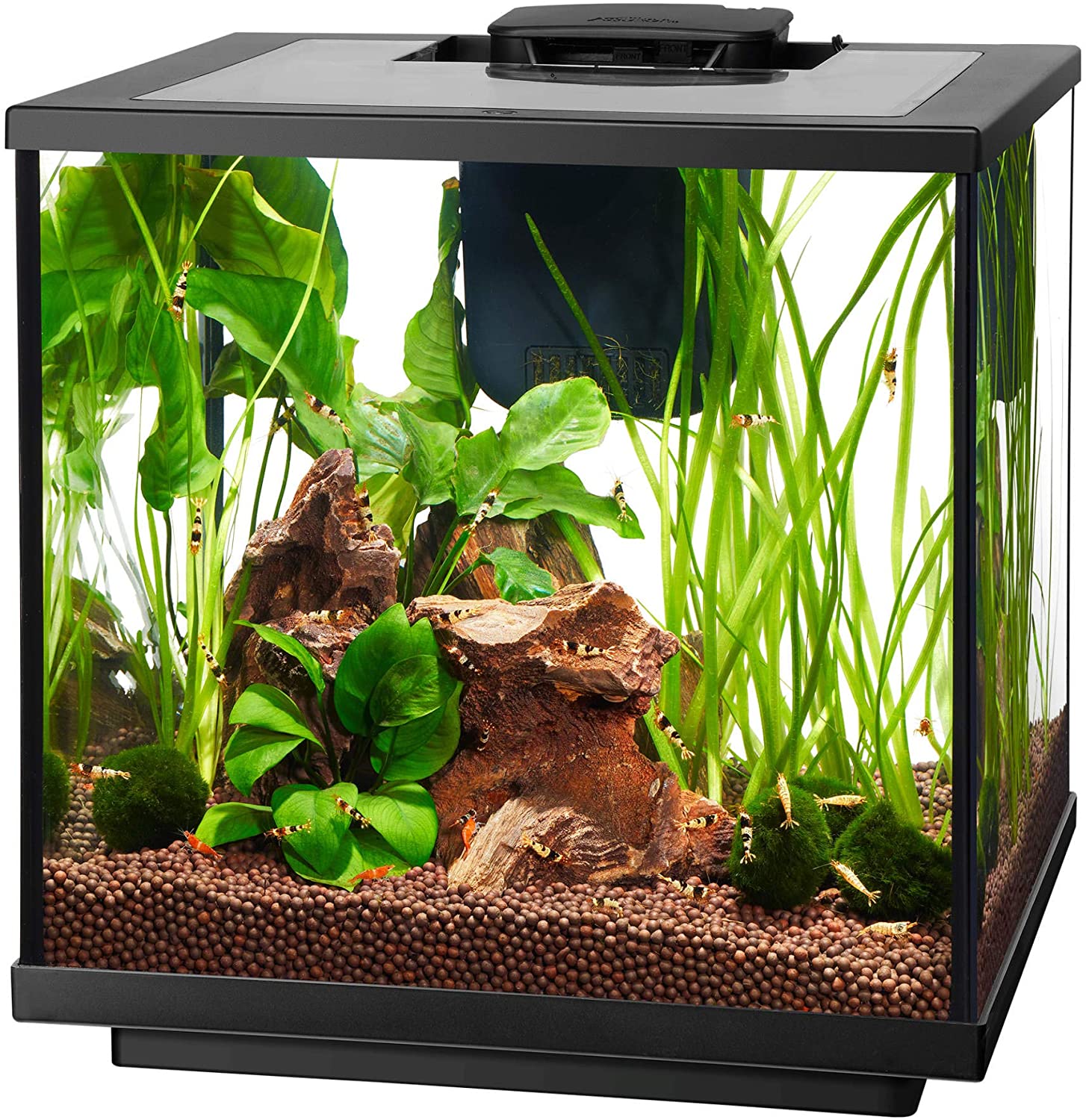 Aqueon 7.5 Gallon LED Shrimp Aquarium Kit