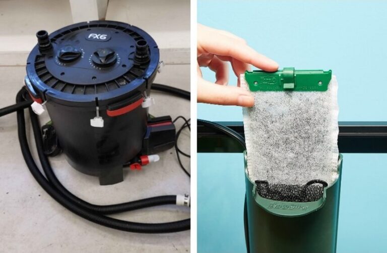 7 Best Filters for Turtle Tanks Reviewed and Rated (Fall 2023)