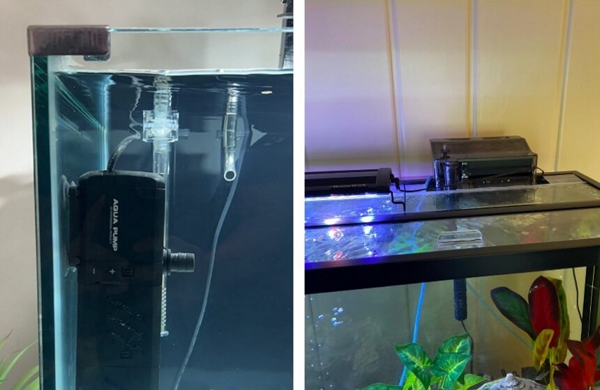 10 Best Filters for 30-Gallon Aquarium: Perfect Capacity for Medium-Sized Tanks! (Fall 2022)