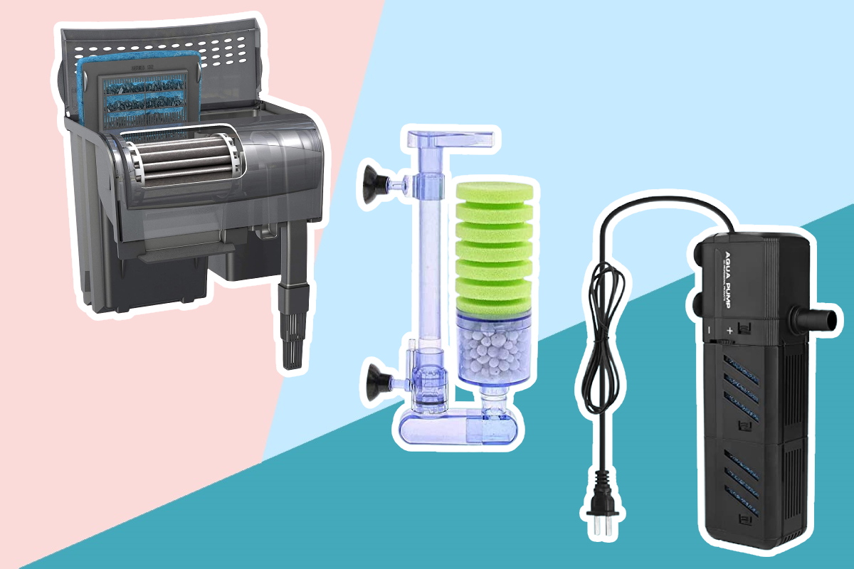 8 Best Filters for Goldfish Reviewed in Detail (Spring 2024)